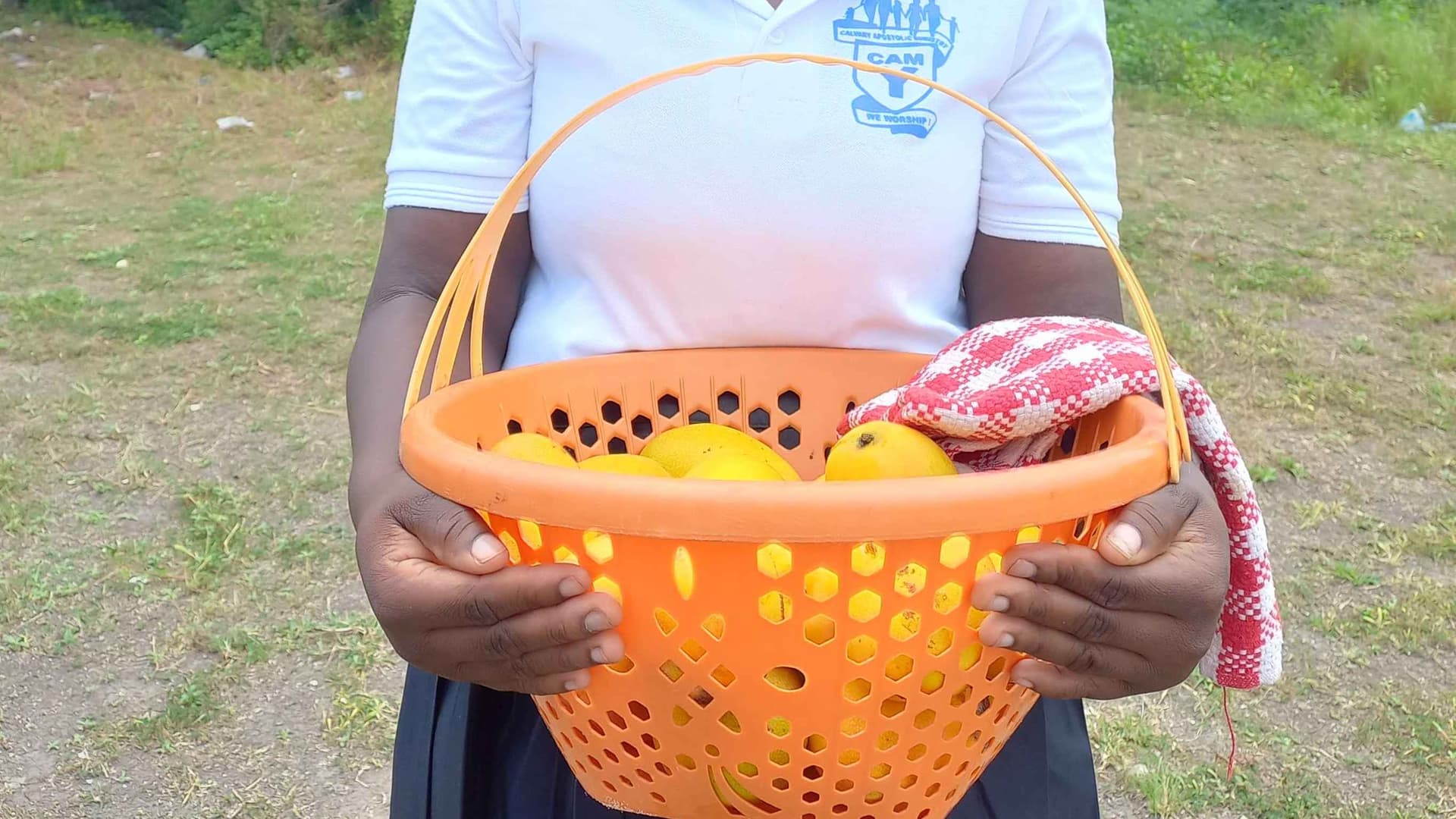 The basket of mangoes from Sylvia