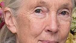 Dr Jane Goodall, blue eyes, grey hair and a knowing smile, looking right at us.