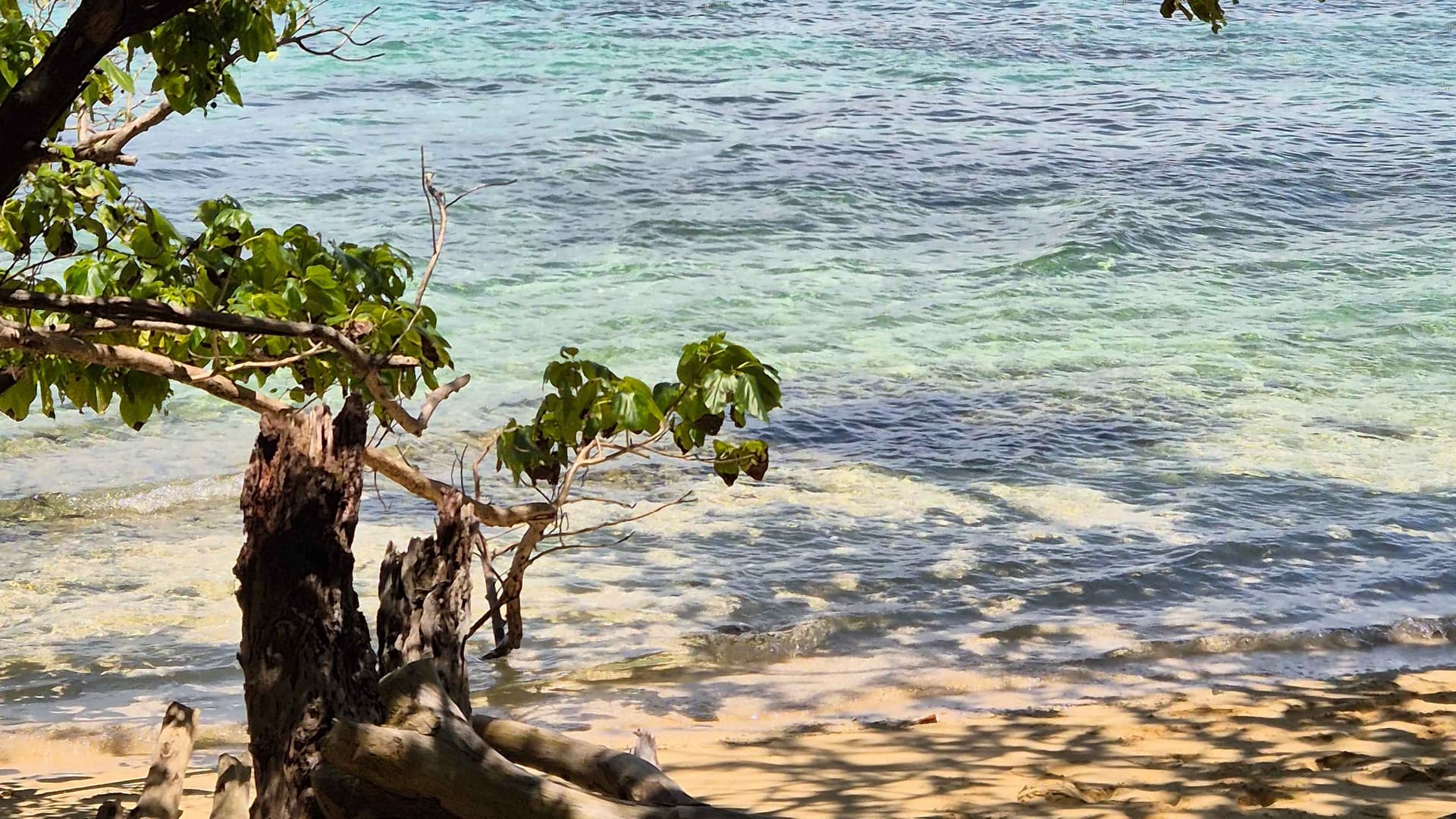 Beach view of ocean 