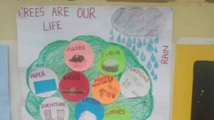 A photo of a tree  on a chart 
